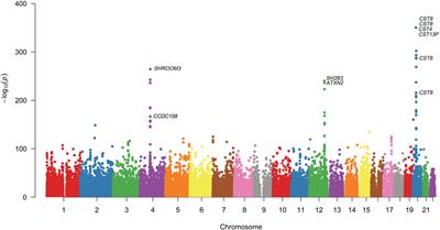 Pathway Association Studies Reveal Gene Loci and Pathway Networks that Associated With Plasma Cystatin C Levels